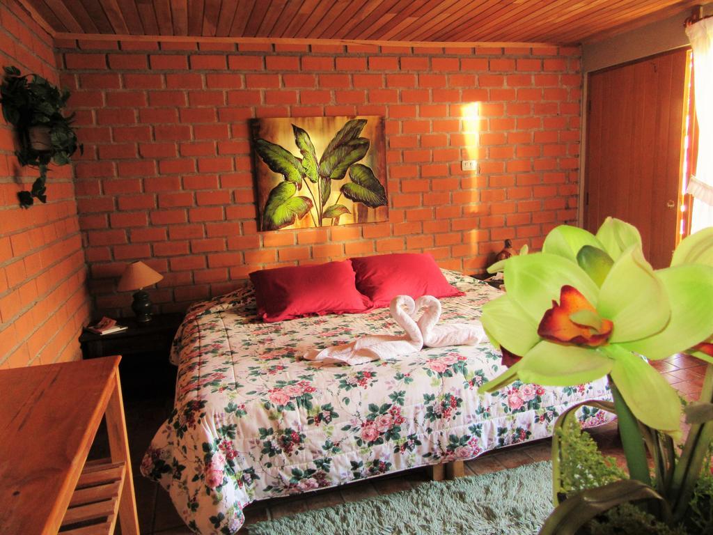 Posada Edelweiss Oxapampa Dış mekan fotoğraf